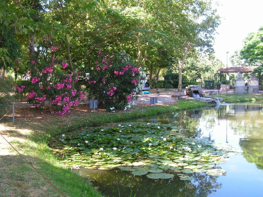 Camping Villaggio Italgest SantʼArcangelo المظهر الخارجي الصورة
