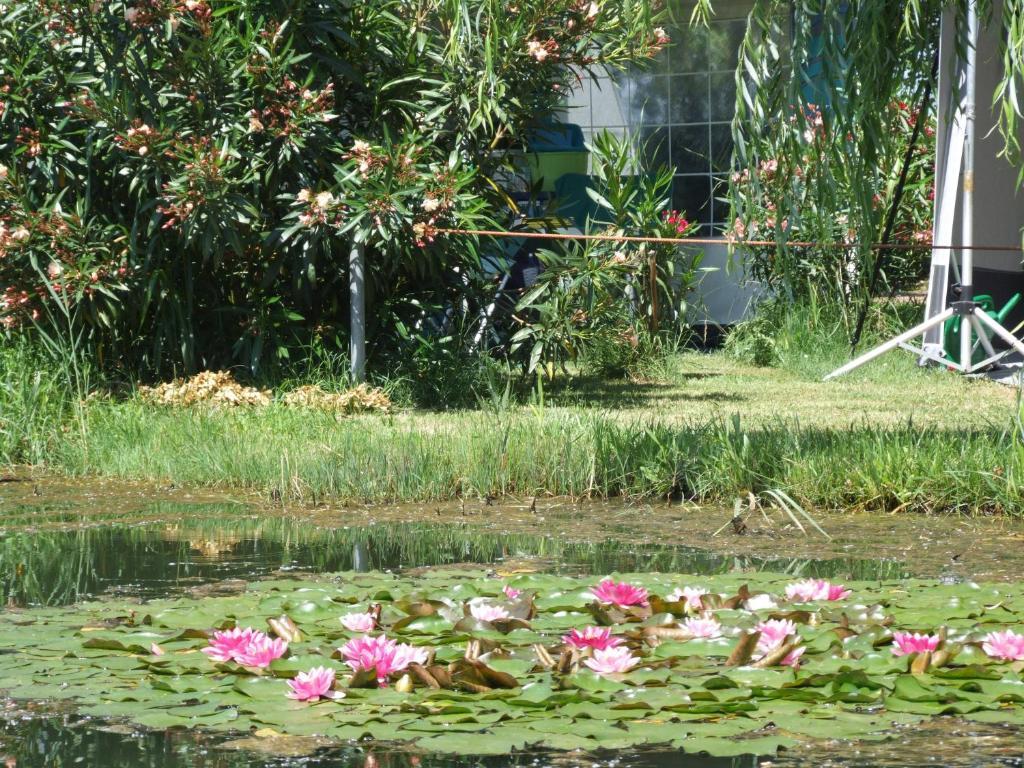 Camping Villaggio Italgest SantʼArcangelo المظهر الخارجي الصورة